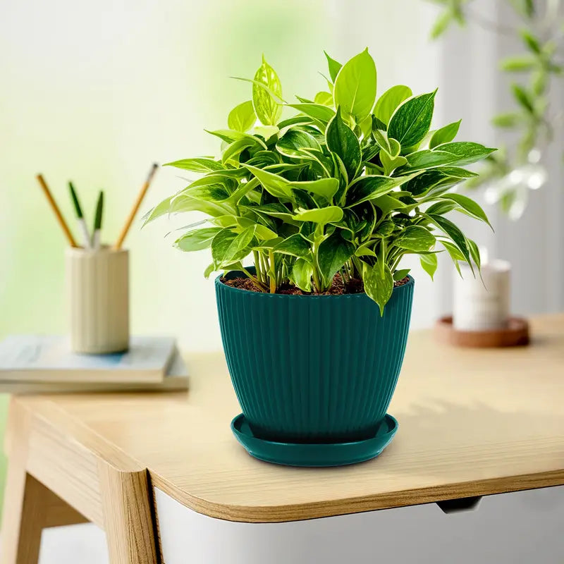 Maceta con estructura acanalada y plato – Maceta de plástico resistente para plantas