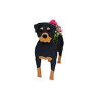 Maceta con forma de perro – Contenedor decorativo para plantas