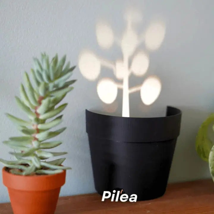 Maceta con proyección de luz y 7 siluetas de plantas para decoración de pared