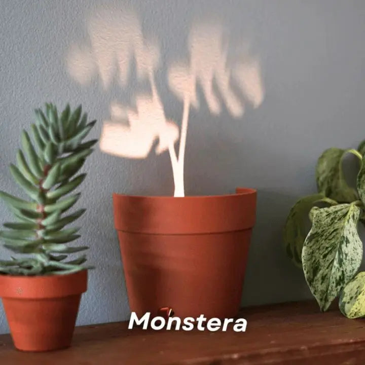 Maceta con proyección de luz y 7 siluetas de plantas para decoración de pared