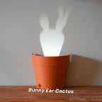 Maceta con proyección de luz y 7 siluetas de plantas para decoración de pared