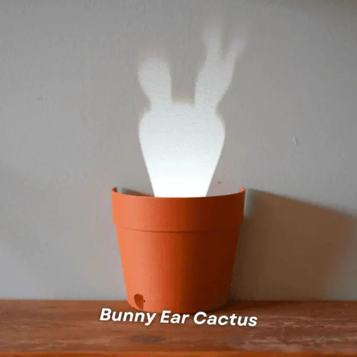 Maceta con proyección de luz y 7 siluetas de plantas para decoración de pared