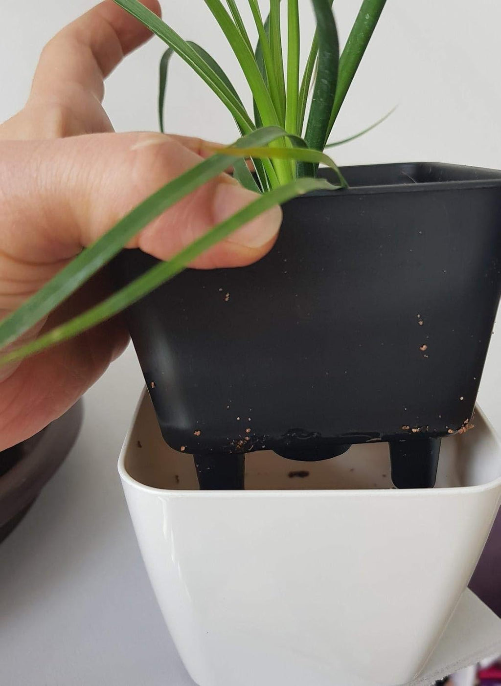 Maceta con sistema de riego automático para interior y exterior