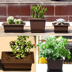 Maceta rectangular con plato para jardín y balcón