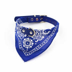 Pañuelo bandana collar para mascotas