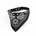 Pañuelo bandana collar para mascotas