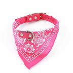 Pañuelo bandana collar para mascotas