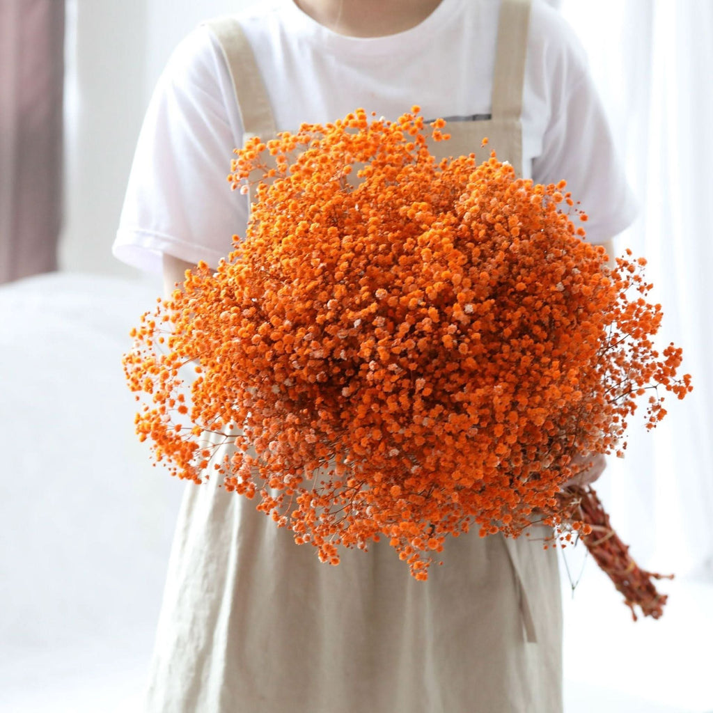 Ramo de flores secas de gypsophila preservada – Decoración natural