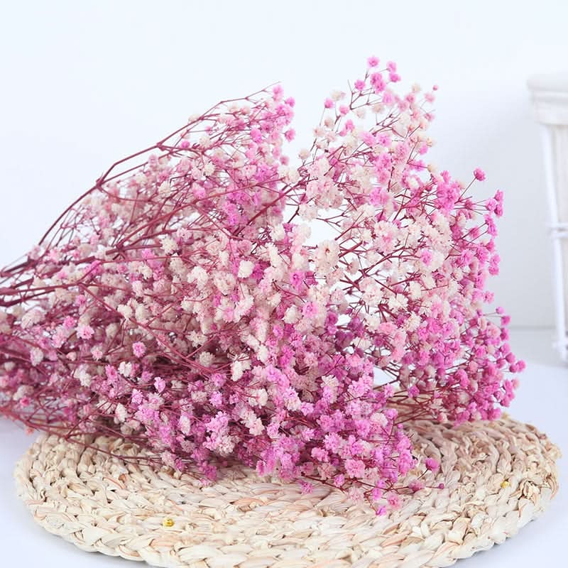 Ramo de flores secas de gypsophila preservada – Decoración natural