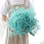 Ramo de flores secas de gypsophila preservada – Decoración natural