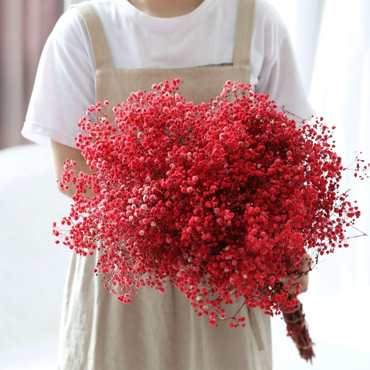 Ramo de flores secas de gypsophila preservada – Decoración natural