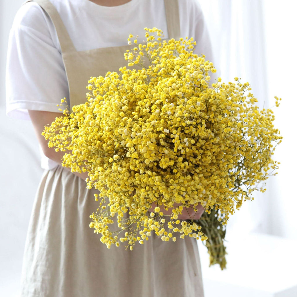 Ramo de flores secas de gypsophila preservada – Decoración natural