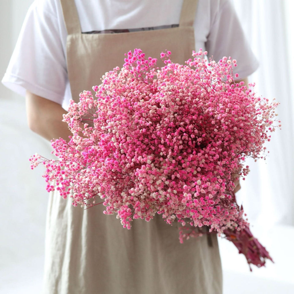 Ramo de flores secas de gypsophila preservada – Decoración natural