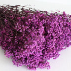 Ramo de flores secas de gypsophila preservada – Decoración natural