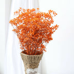 Ramo de flores secas de gypsophila preservada – Decoración natural