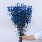 Ramo de flores secas de gypsophila preservada – Decoración natural