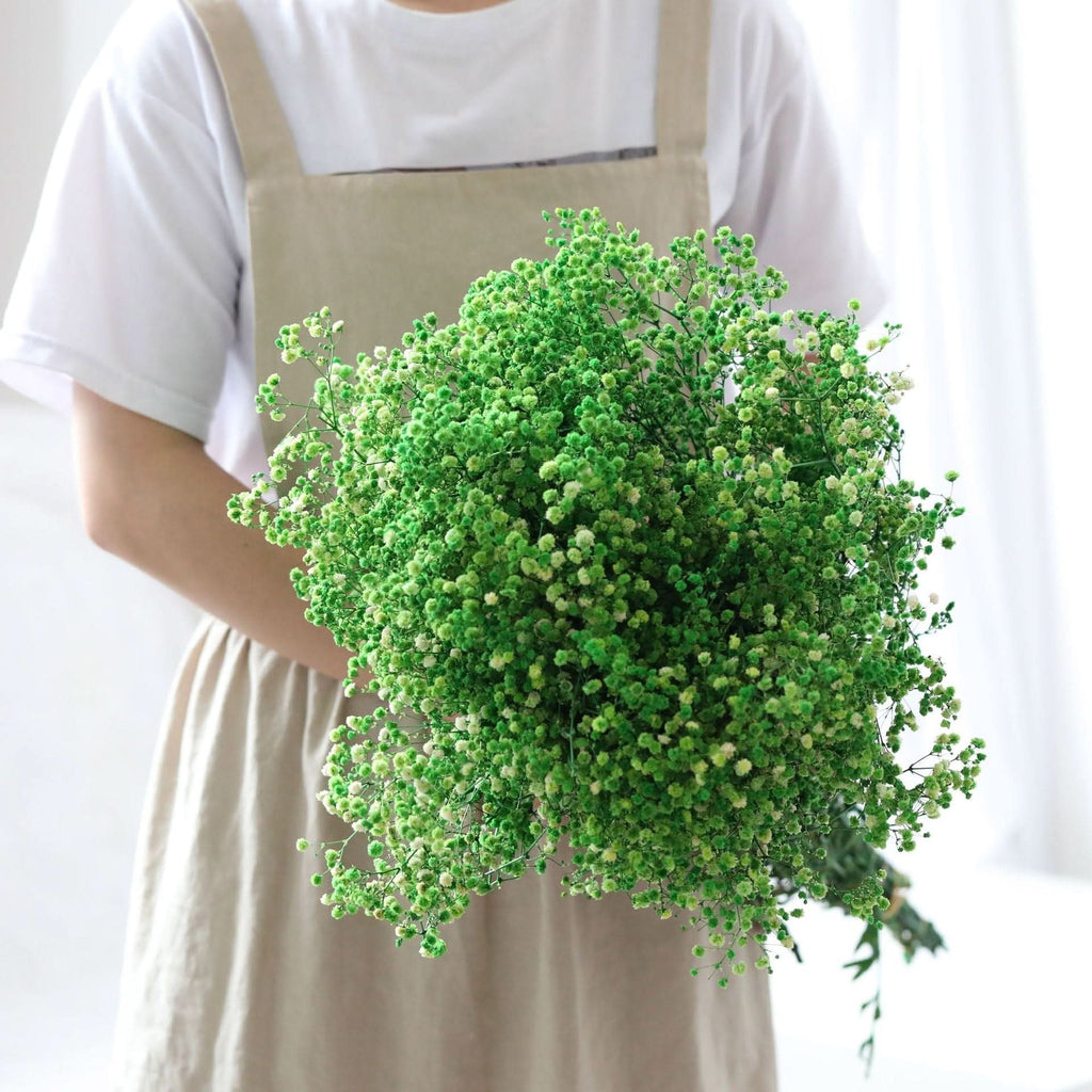 Ramo de flores secas de gypsophila preservada – Decoración natural