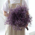 Ramo de flores secas de gypsophila preservada – Decoración natural