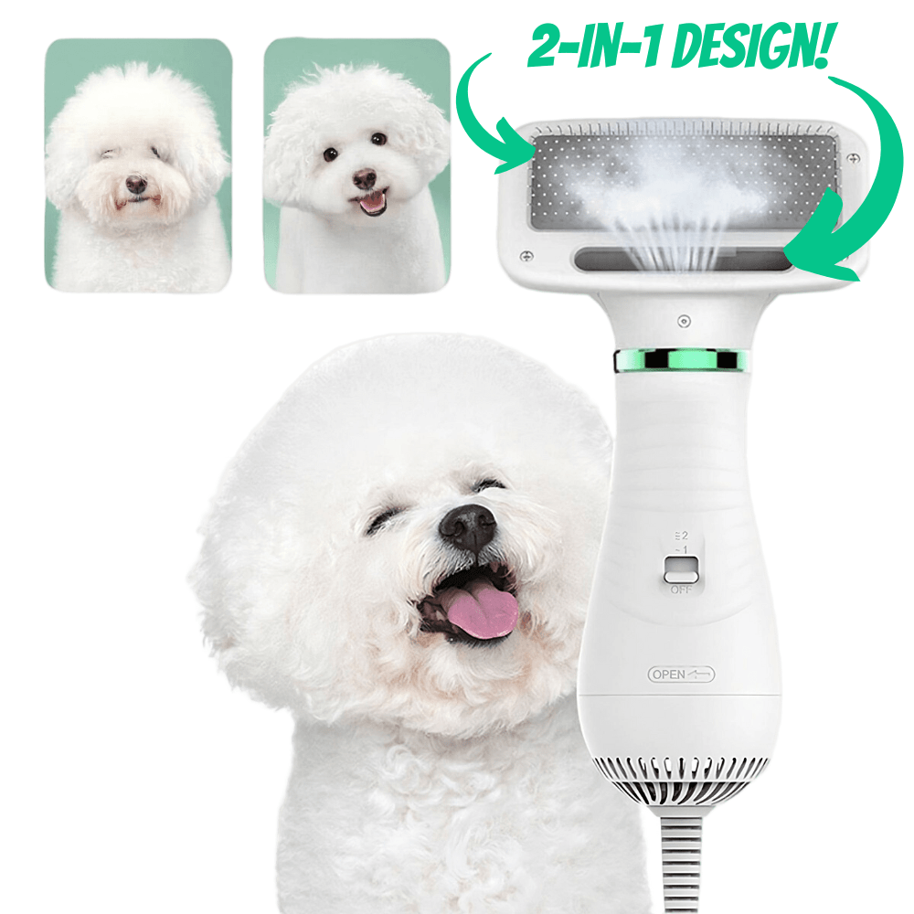 Secador de pelo 2 en 1 para perros con cepillo | Funcionamiento silencioso por debajo de 60 dB | Dos ajustes de calor y 