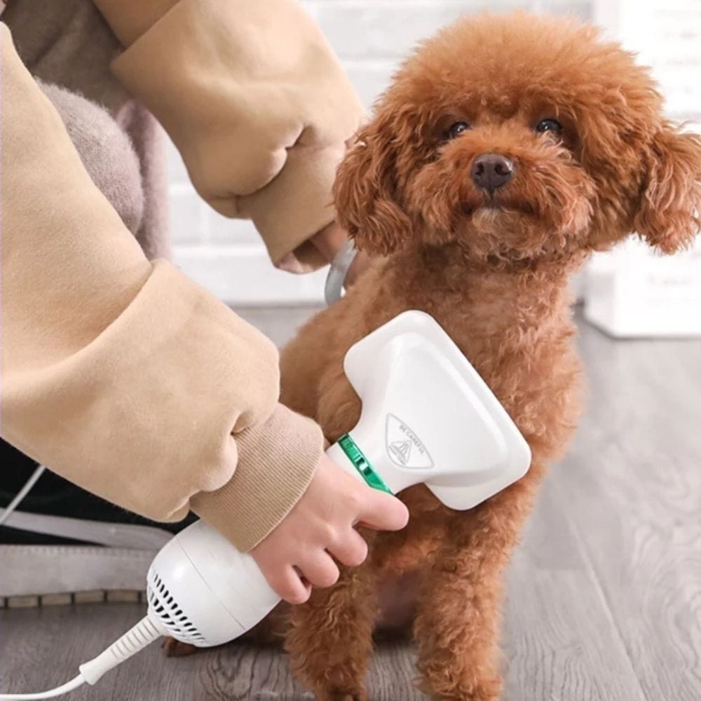 Secador de pelo 2 en 1 para perros con cepillo | Funcionamiento silencioso por debajo de 60 dB | Dos ajustes de calor y 