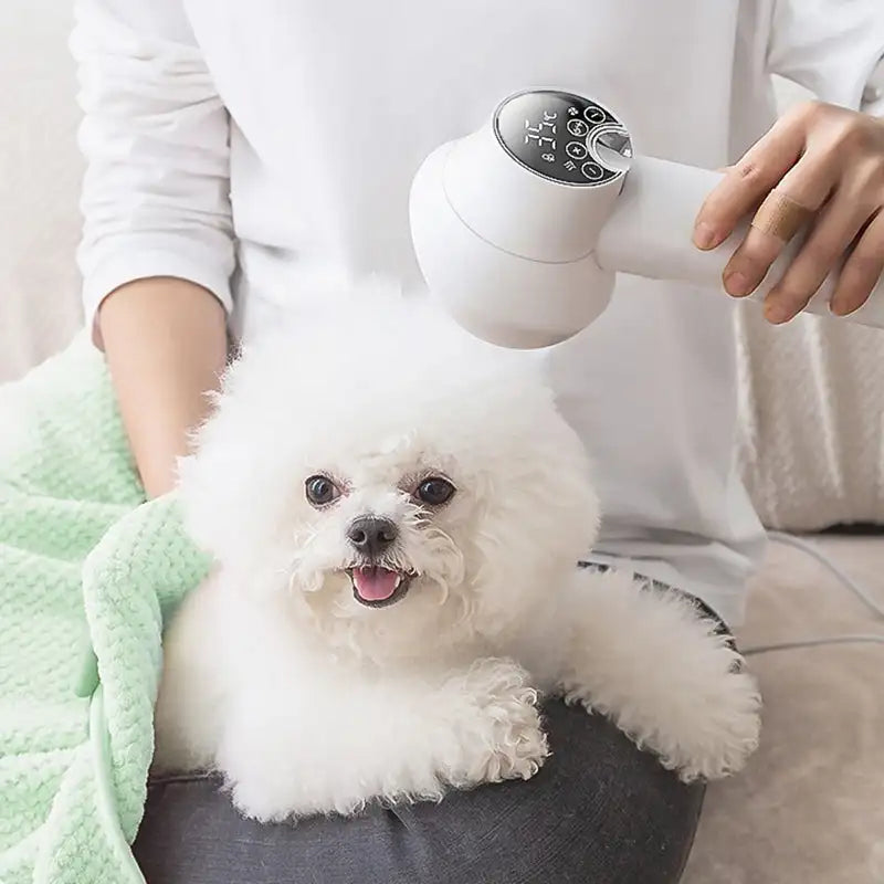 Secador para perros con cepillo integrado 2 en 1 | Temperatura 35–65 °C, 4 niveles de flujo de aire | Tecnología iónica,