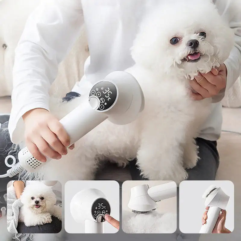 Secador para perros con cepillo integrado 2 en 1 | Temperatura 35–65 °C, 4 niveles de flujo de aire | Tecnología iónica,