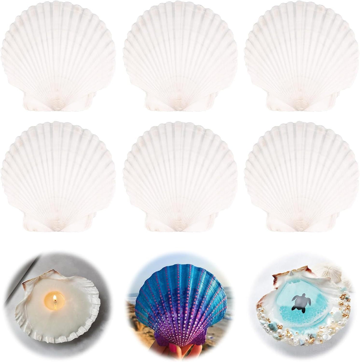 Set creativo unisex de conchas y colores