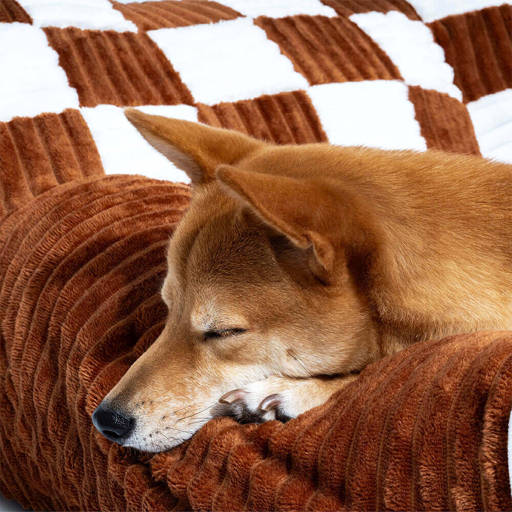 Sofá cama ortopédico para perros King's Chillout
