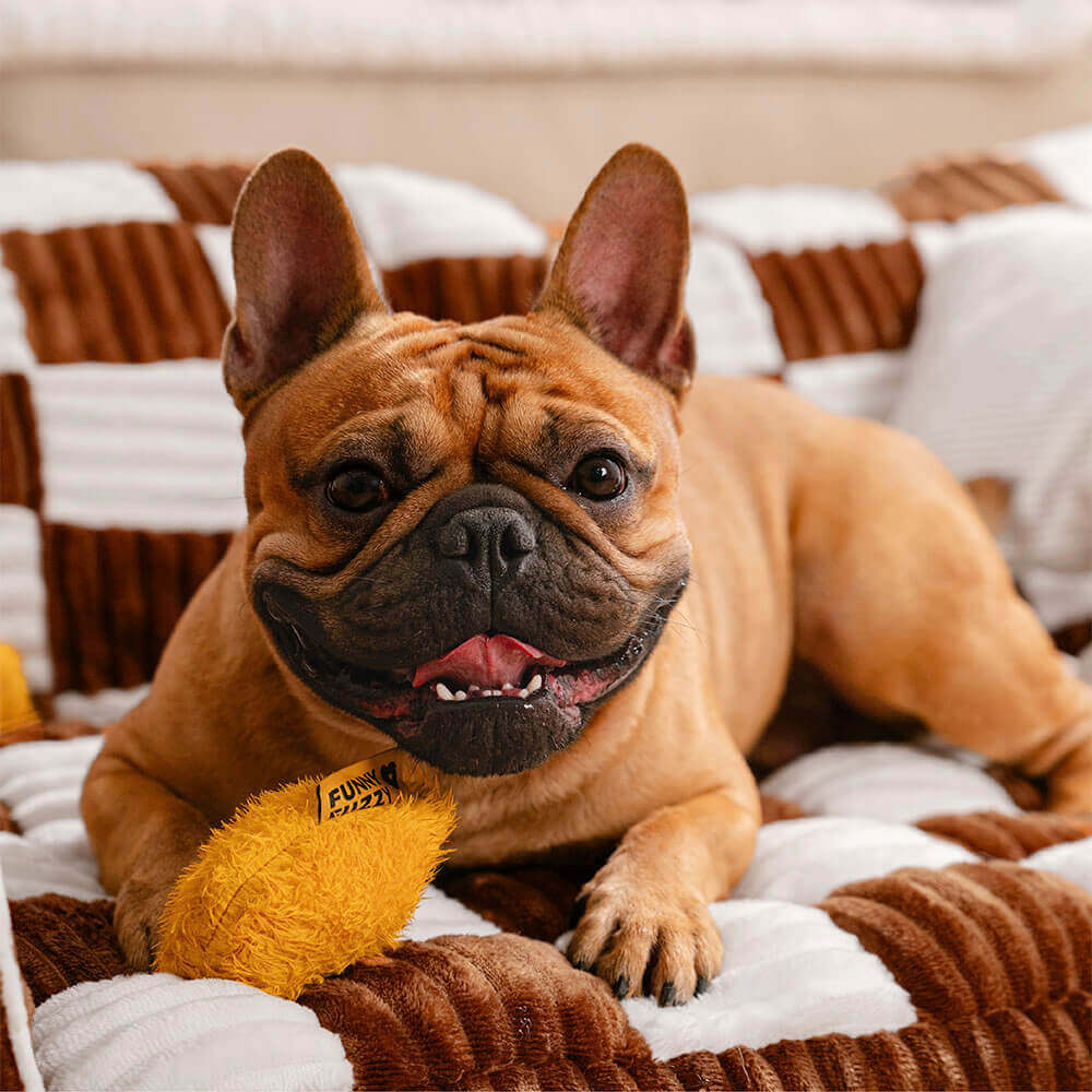Sofá cama ortopédico para perros King's Chillout