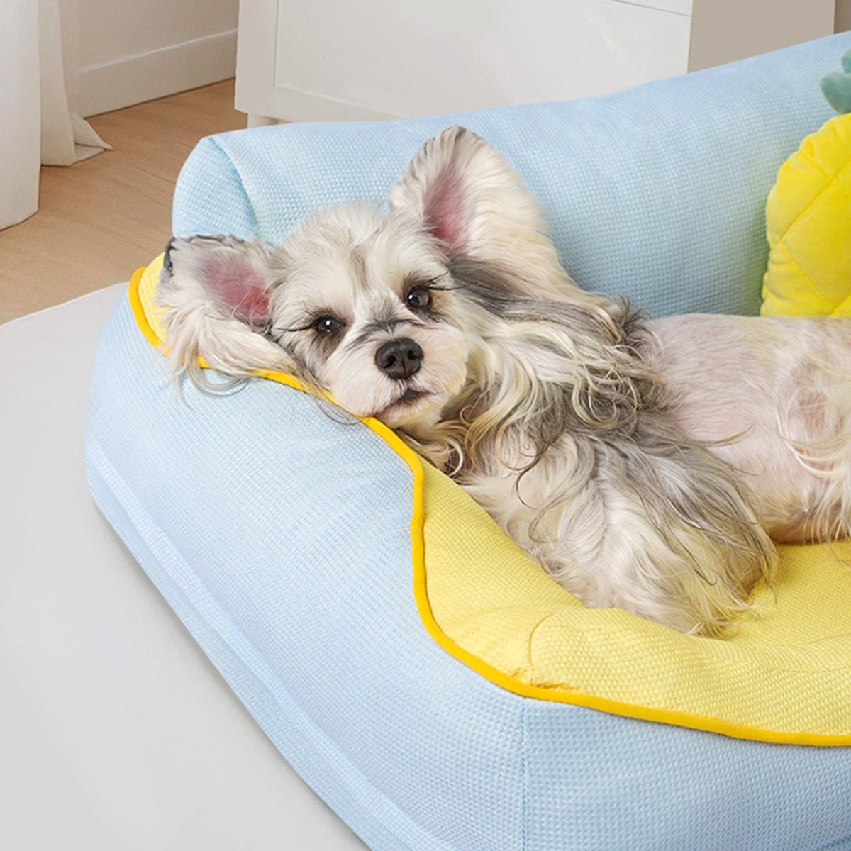Sofá cama para perros con bordes elevados