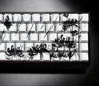 Teclado artístico personalizable