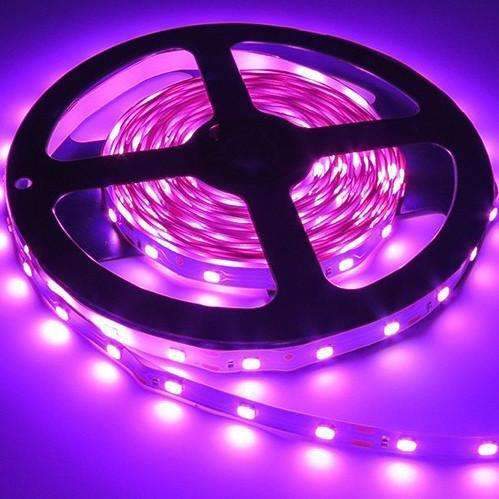 Tira LED 3528 12V 5M 300 LEDs – Iluminación flexible y eficiente