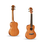 Ukelele Ornishop