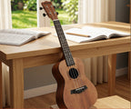 Ukelele Ornishop