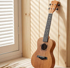 Ukelele Ornishop