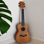 Ukelele Ornishop