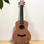 Ukelele Ornishop