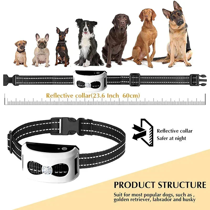 Valla invisible inalámbrica para perros y collar de adiestramiento - IP65 resistente al agua - Alcance de 300 m - Recarg